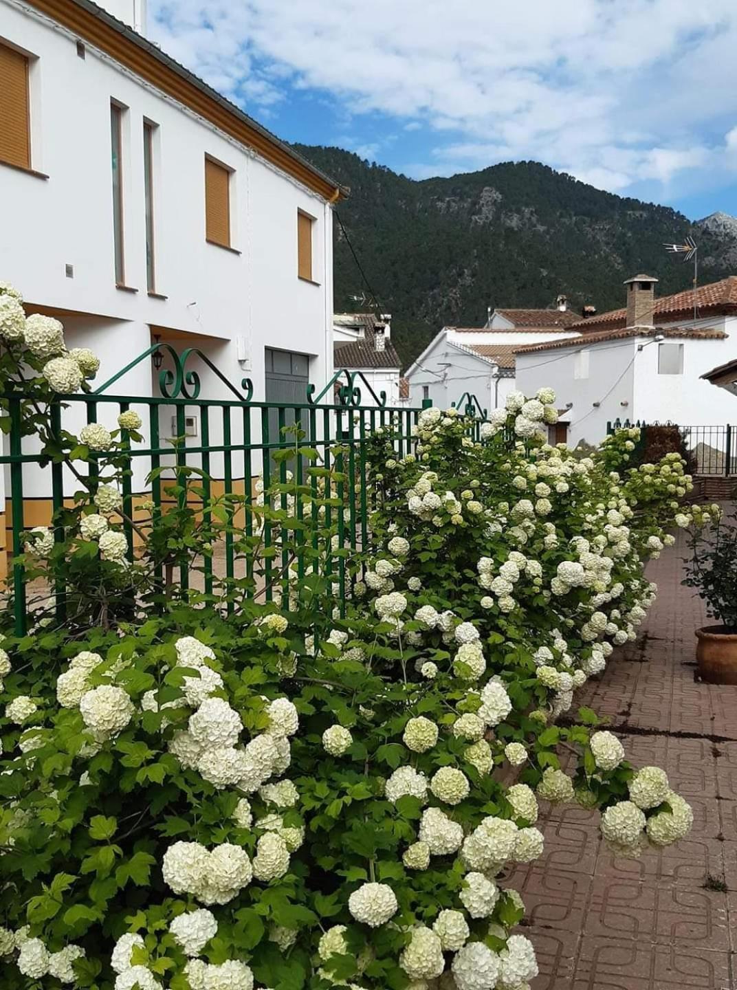 Albergue Ruta Rio Borosa Coto Rios Exteriér fotografie